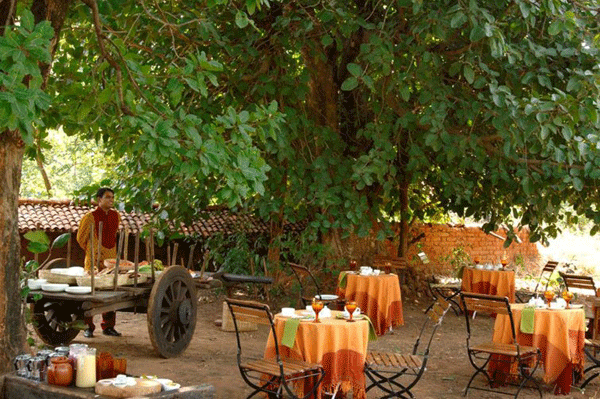 Banjara-Tola-Dining Banjara-Tola-Dining