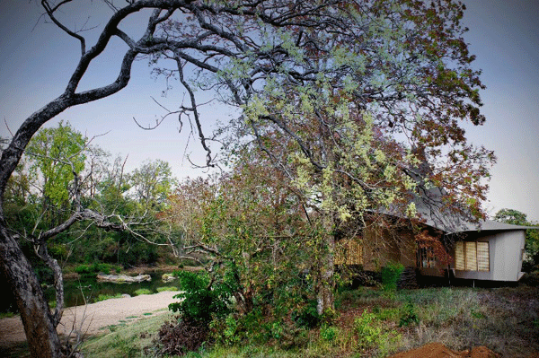 Banjara-Tola Banjara-Tola