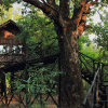 Tree-House-Hideaway