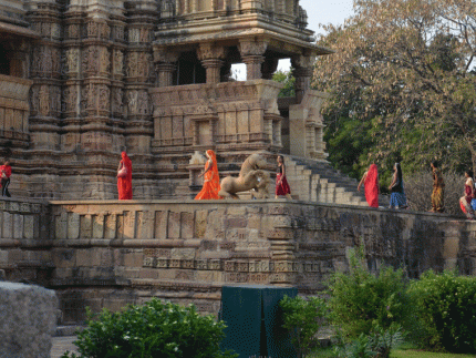 Tiger and Temple Trails